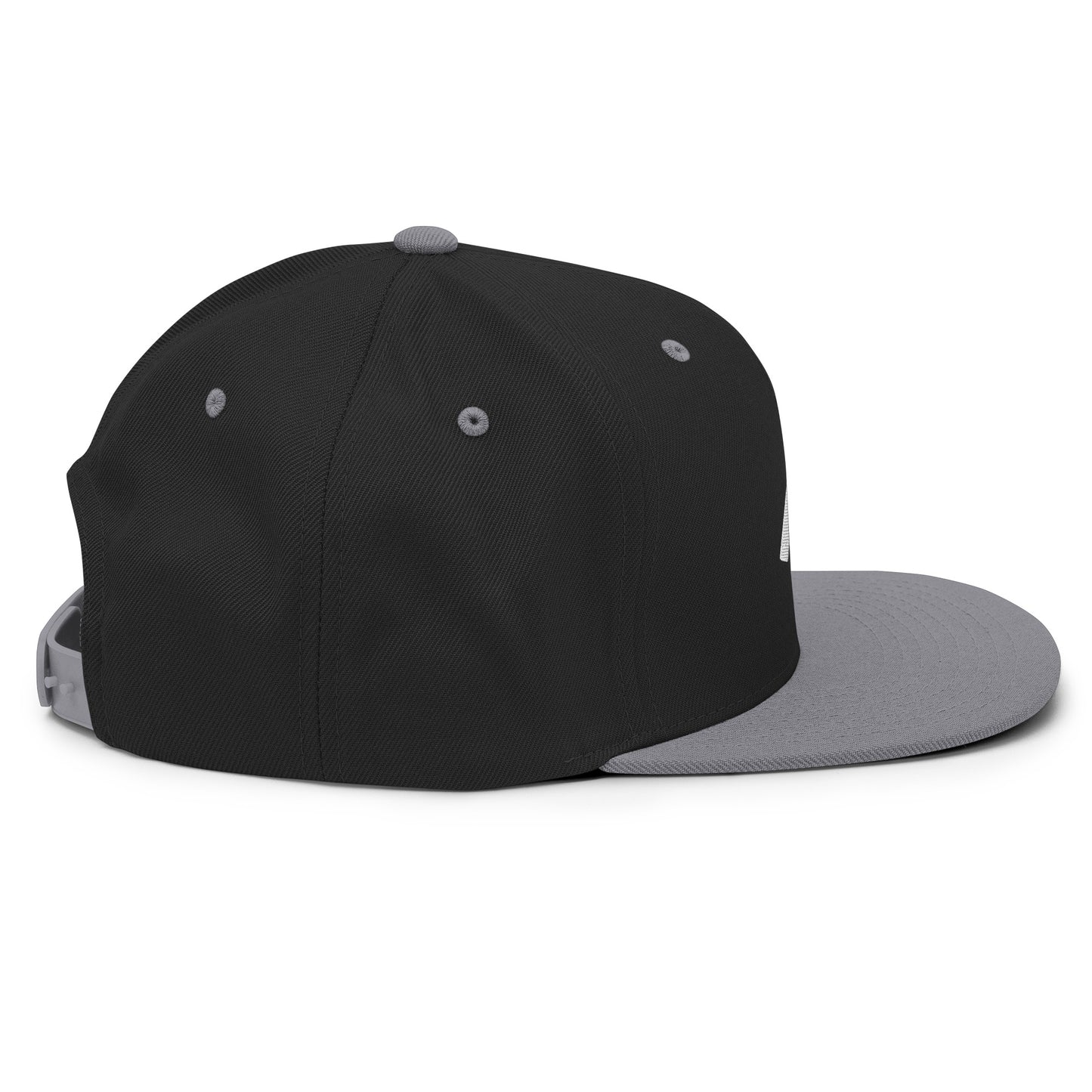 Snapback Hat Embroidered Gi icon