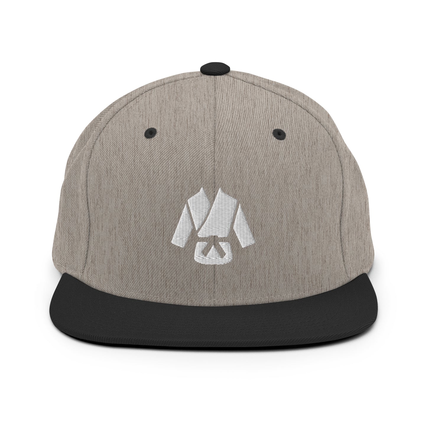 Snapback Hat Embroidered Gi icon