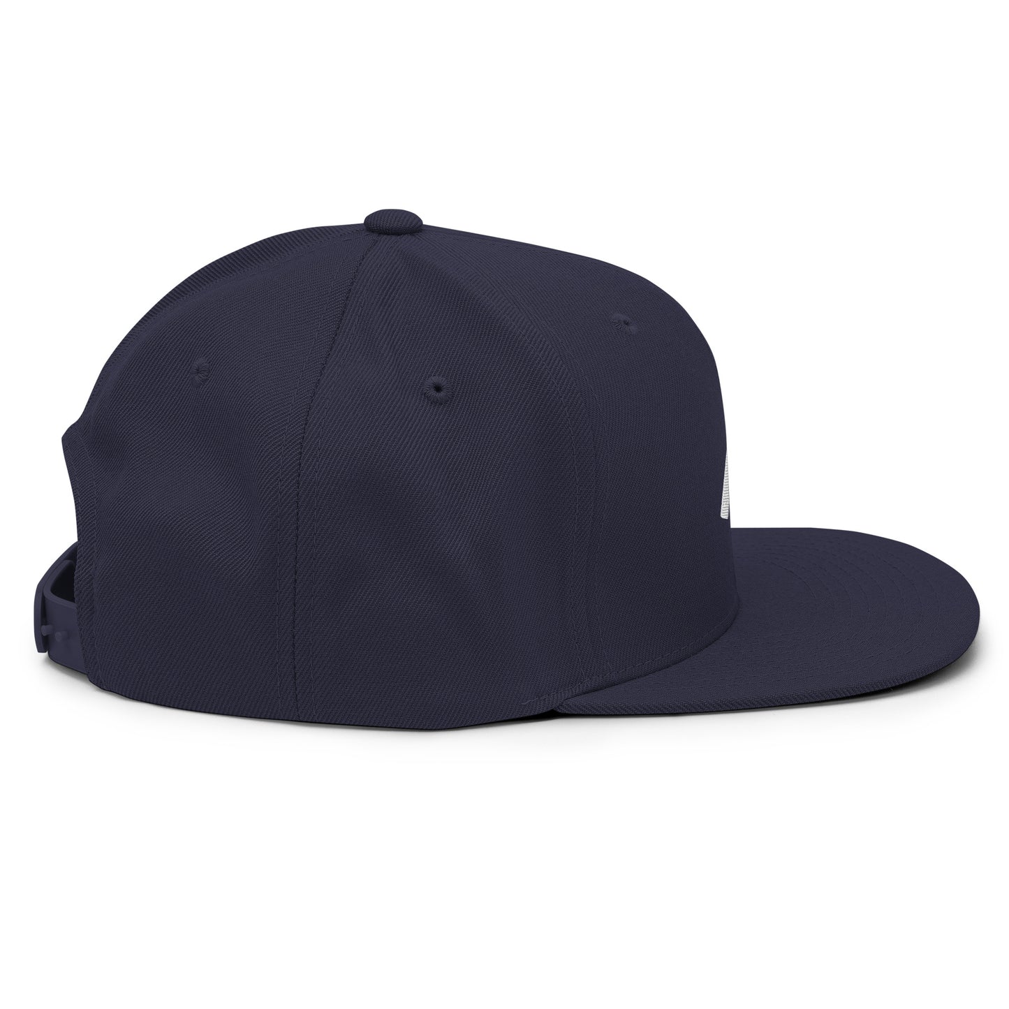 Snapback Hat Embroidered Gi icon